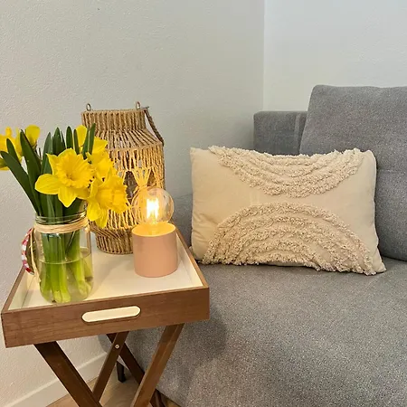 Διαμέρισμα Near Red Bull Ring Κνίτελφελντ